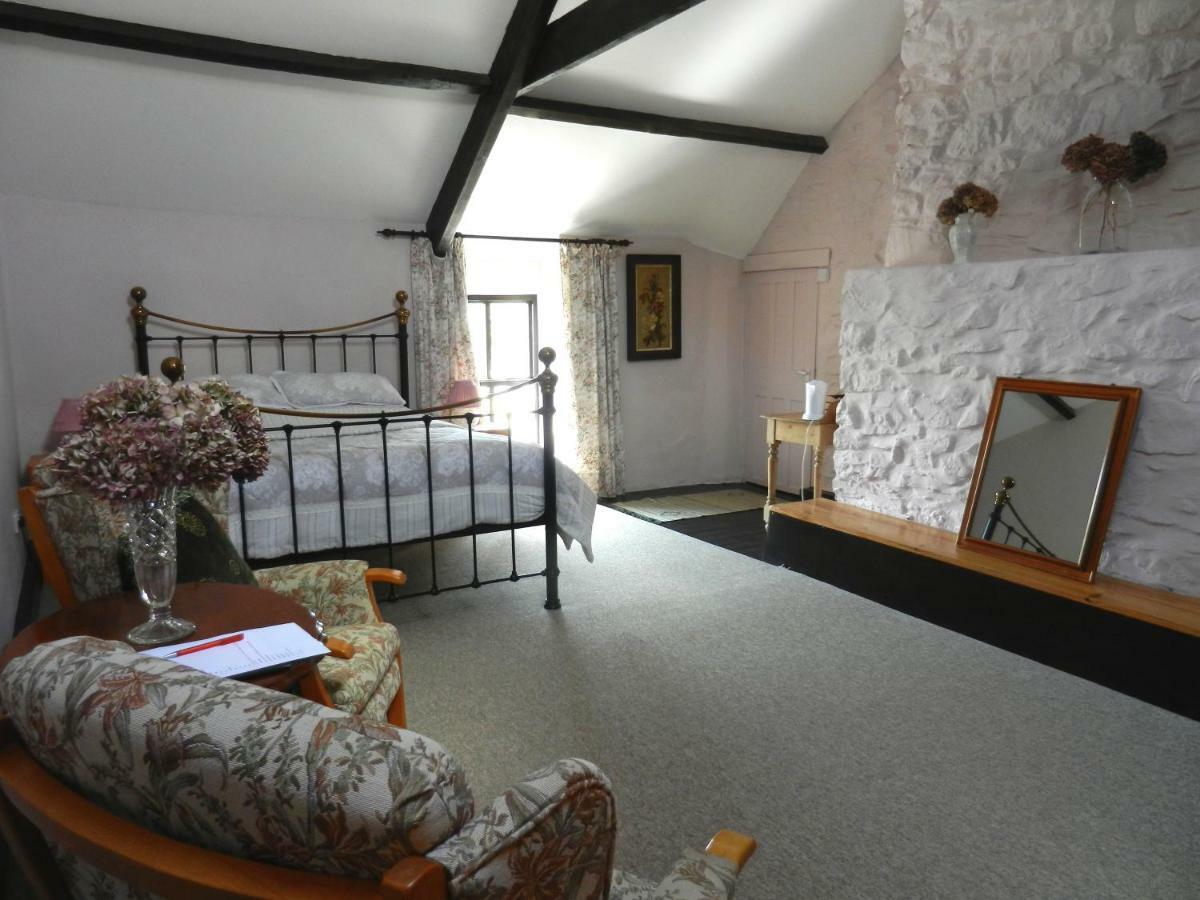 Cilwen Country House Bed And Breakfast Abernant Zewnętrze zdjęcie