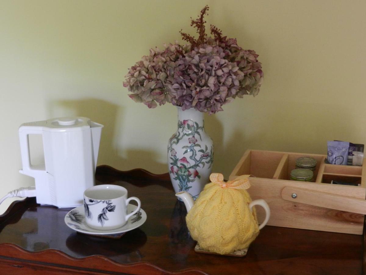 Cilwen Country House Bed And Breakfast Abernant Zewnętrze zdjęcie